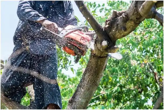 tree services Livingston